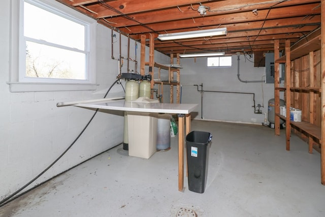 basement featuring electric panel
