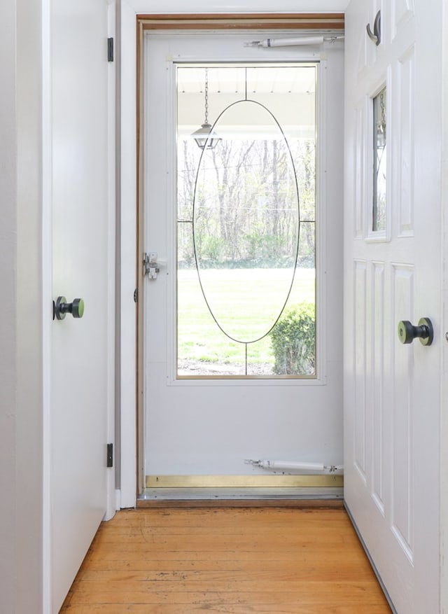 doorway to outside with light wood-style floors