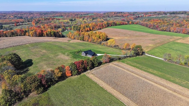 drone / aerial view with a rural view