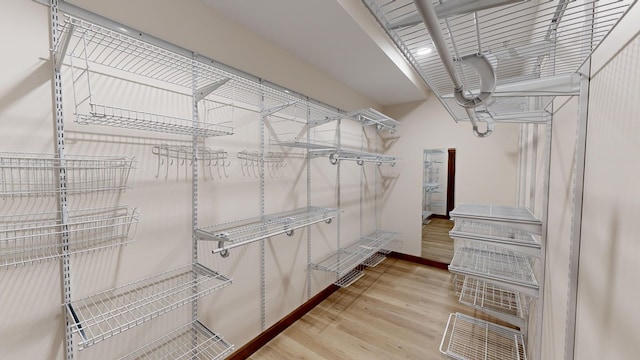 spacious closet featuring hardwood / wood-style flooring