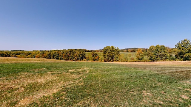 view of yard with a rural view