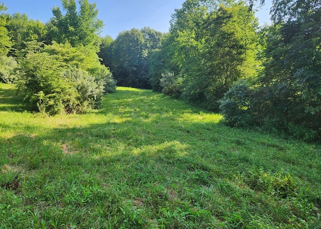 0 Mckee Rd, Frazeysburg, OH 43822 - photo 17