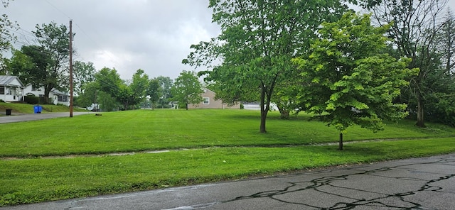 186 Iberia St, Mount Gilead, OH 43338 - photo 3