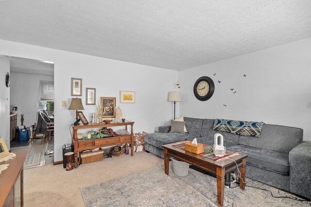 524.526 Rudy Rd, Mansfield, OH 44903 - living room featuring carpet flooring and a textured ceiling