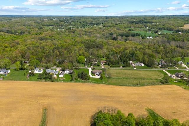 524.526 Rudy Rd, Mansfield, OH 44903 - drone / aerial view of a forest