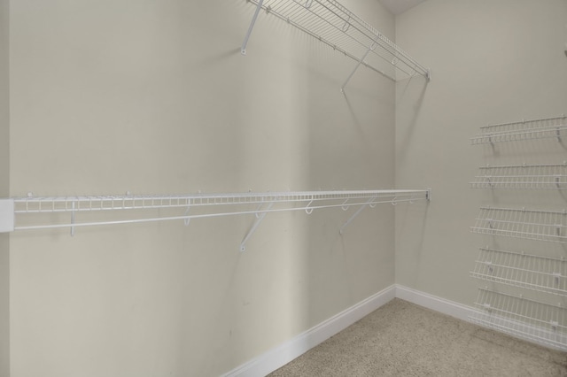 walk in closet featuring carpet