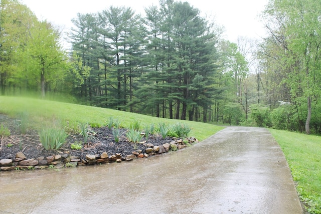 4978 Bott Rd, Bellville, OH 44813 - photo 3