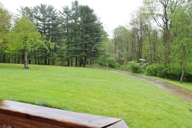4978 Bott Rd, Bellville, OH 44813 - photo 32