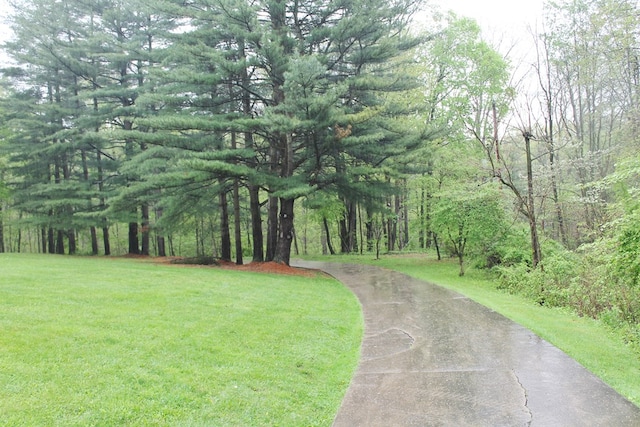 4978 Bott Rd, Bellville, OH 44813 - photo 2