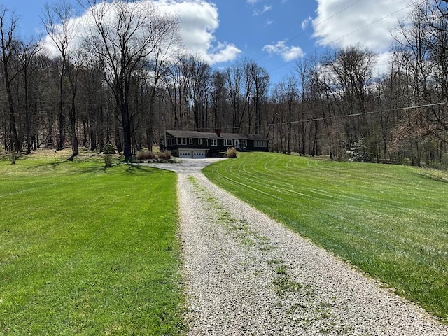 22264 Township Rd Unit 304, Coshocton, OH 43812 - view of dirt / gravel driveway with a wooded view