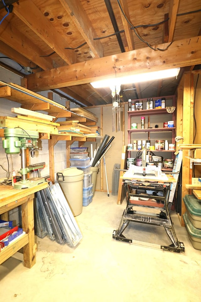 10411 River Rd, Huron, OH 44839 - basement featuring a workshop area