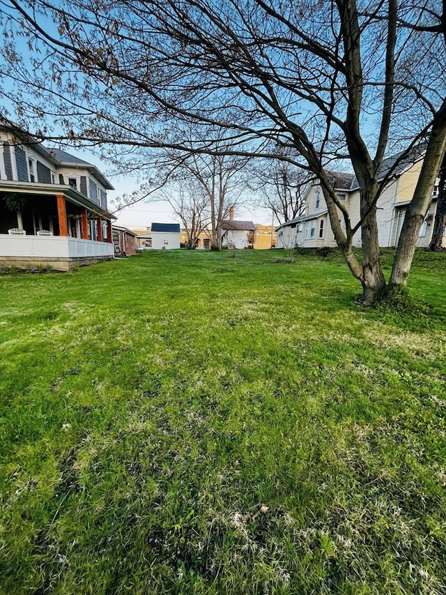 view of yard