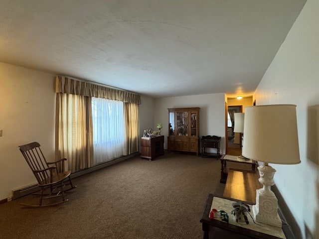 sitting room with carpet floors