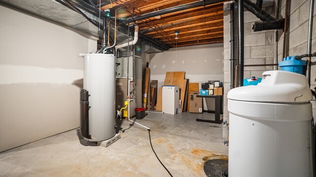 1439 Township Rd Unit 1238, Ashland, OH 44805 - unfinished below grade area featuring gas water heater, a water softener system, and concrete block wall
