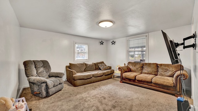 living room with carpet flooring and a textured ceiling