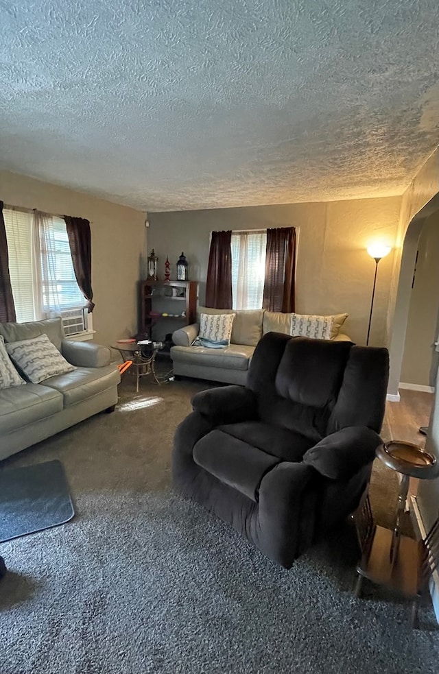 carpeted living room with a textured ceiling