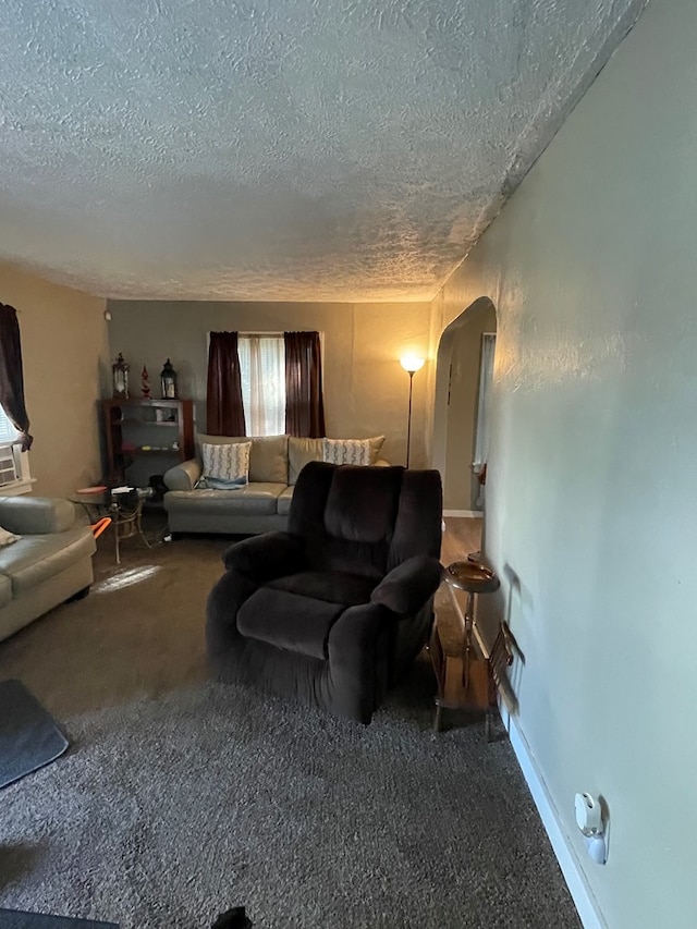 living room with carpet flooring and a textured ceiling