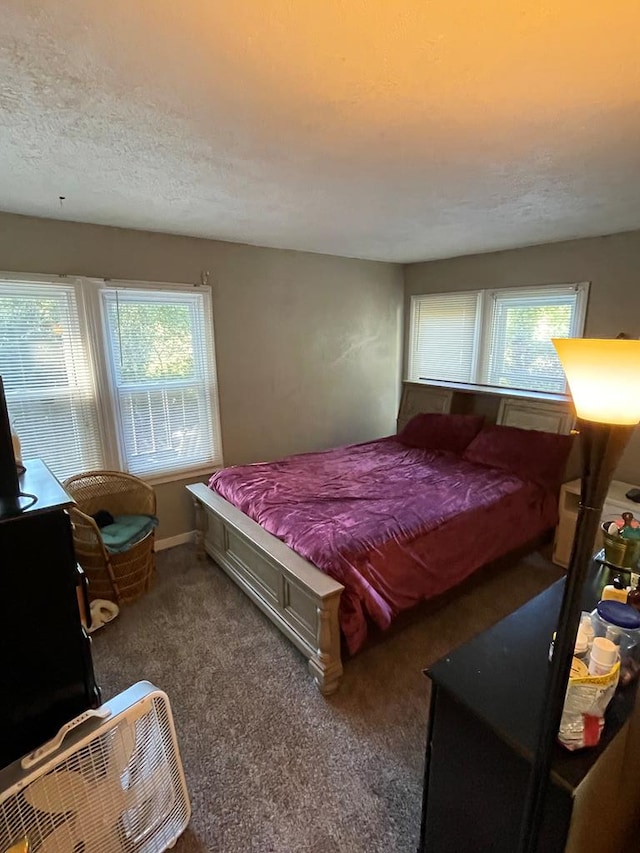 carpeted bedroom featuring multiple windows and a textured ceiling