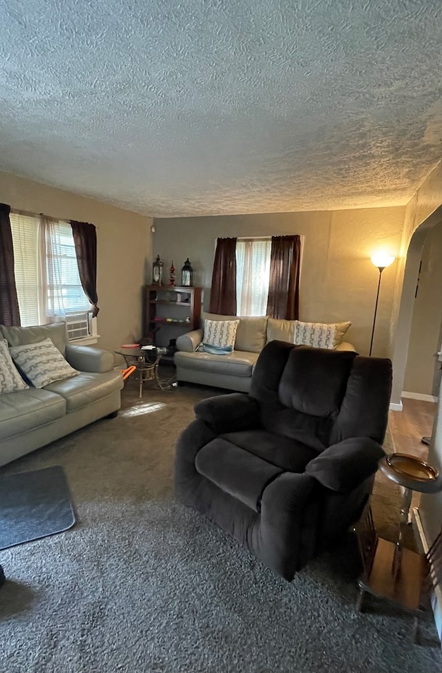 living room featuring carpet and a textured ceiling