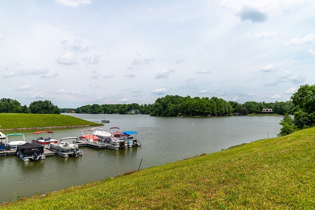 7326 State Route 19 Unit 47-48, Mount Gilead, OH 43338 - water view with a dock