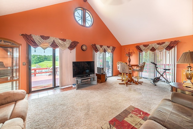 7326 State Route 19 Unit 47-48, Mount Gilead, OH 43338 - living area featuring high vaulted ceiling and carpet floors