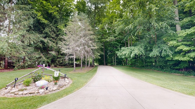 view of community with a yard