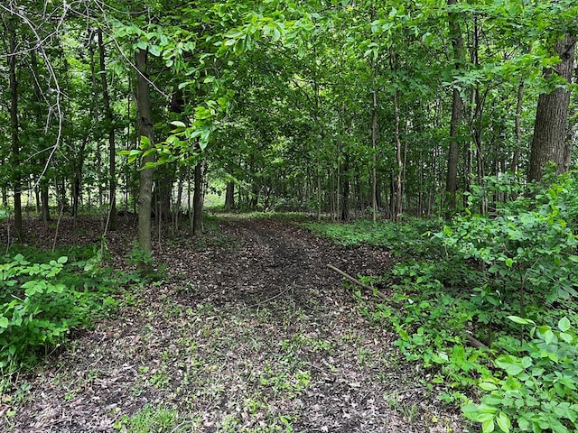 5616 Windfall Rd, Galion, OH 44833 - view of woods