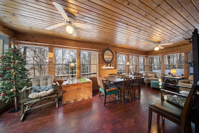 interior space featuring wood walls, wooden ceiling, dark wood-type flooring, and ceiling fan