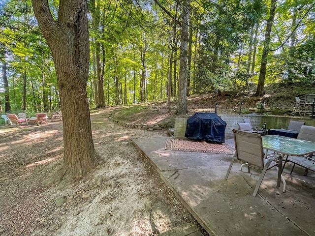 view of patio with grilling area