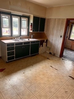 67 S Gamble St, Shelby, OH 44875 - kitchen featuring light floors, dark cabinets, and wood walls