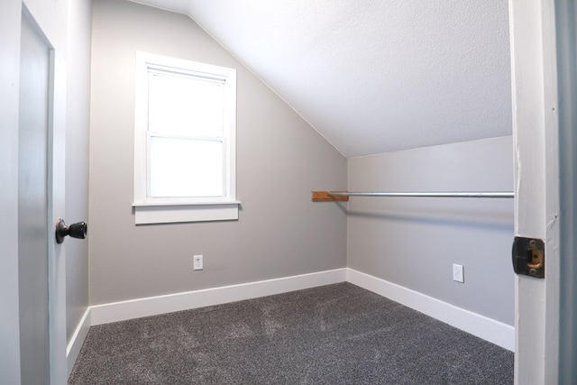 walk in closet featuring lofted ceiling and carpet