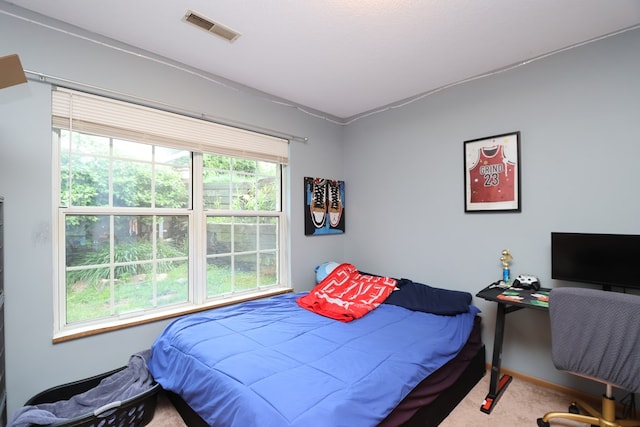 1690 Riva Ridge Dr, Mansfield, OH 44904 - bedroom featuring carpet