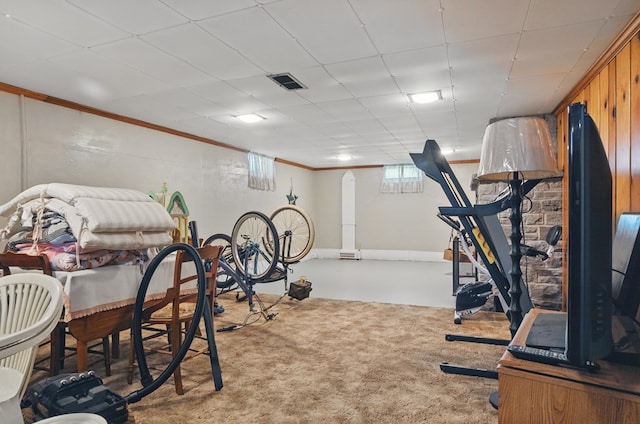 40 Hopewell Ave, Tiffin, OH 44883 - exercise room featuring crown molding and carpet flooring