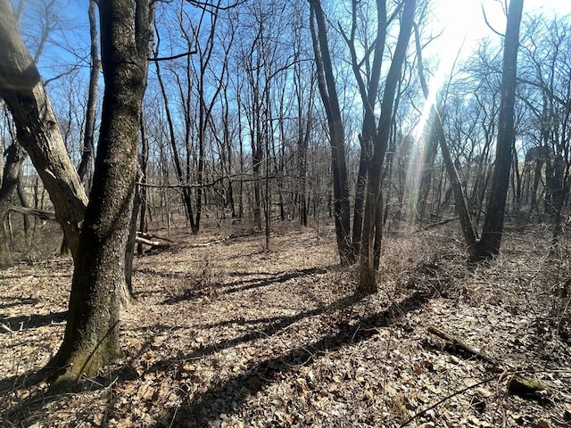 view of nature