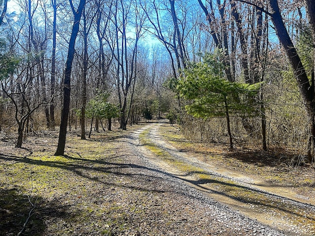 view of road