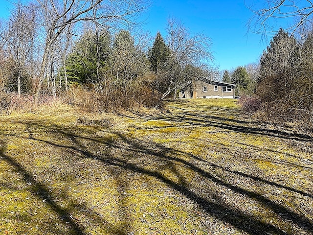 view of road with driveway