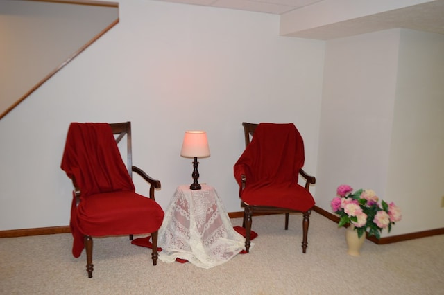 living area featuring carpet floors