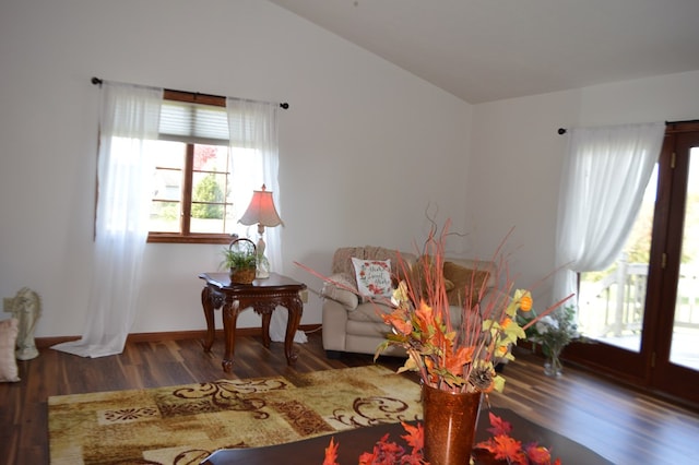 living area with lofted ceiling and dark wood-type flooring