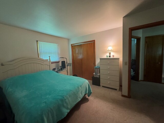 763 Sunnyside Dr, Galion, OH 44833 - bedroom featuring carpet and a closet