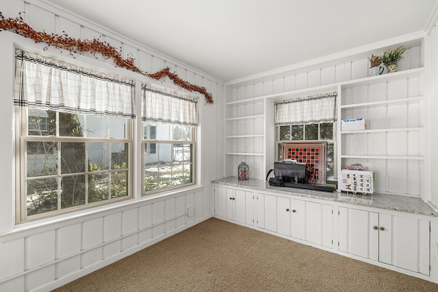 interior space with light colored carpet, ornamental molding, and built in features