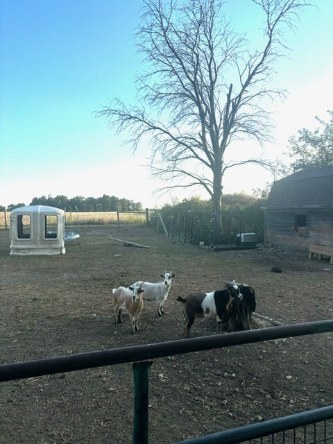 view of yard with a rural view and an outdoor structure