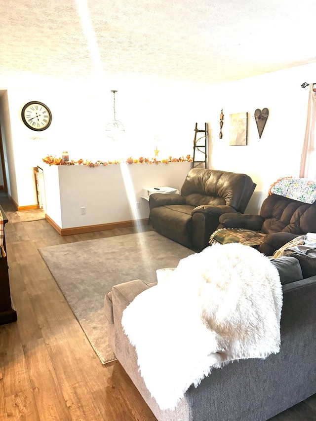 living room with a textured ceiling and hardwood / wood-style flooring