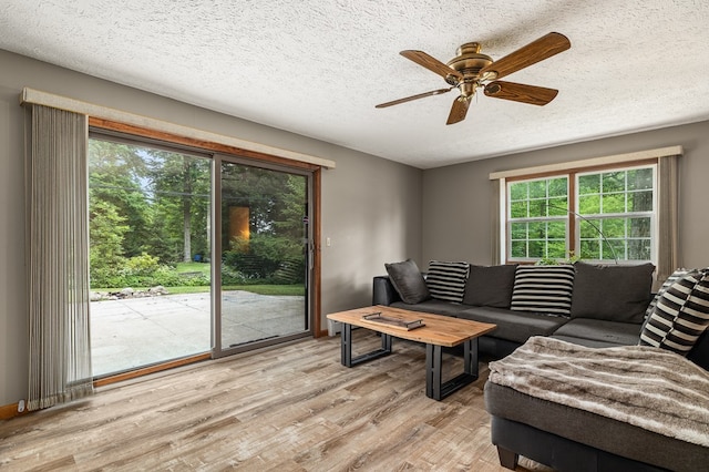 2055 Random Dr, Mansfield, OH 44904 - living area with healthy amount of natural light, light wood-style floors, a ceiling fan, and a textured ceiling