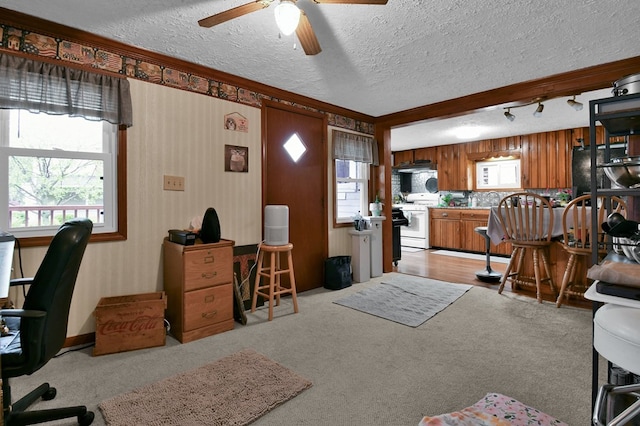 28 W Main St, Hayesville, OH 44838 - office area featuring a ceiling fan, light carpet, and a textured ceiling