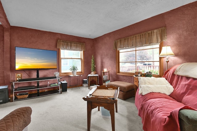 28 W Main St, Hayesville, OH 44838 - carpeted living area featuring a textured ceiling and a textured wall