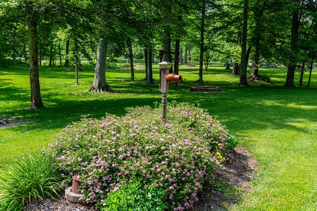 4590 County Road 20, Mount Gilead, OH 43338 - photo 12