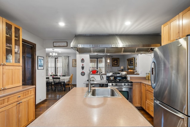 kitchen with extractor fan, appliances with stainless steel finishes, dark hardwood / wood-style floors, light brown cabinetry, and sink