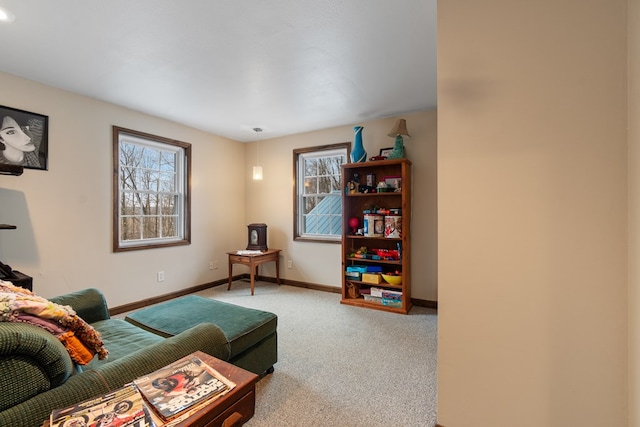 living room with carpet