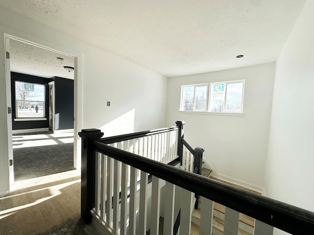 hallway featuring hardwood / wood-style flooring