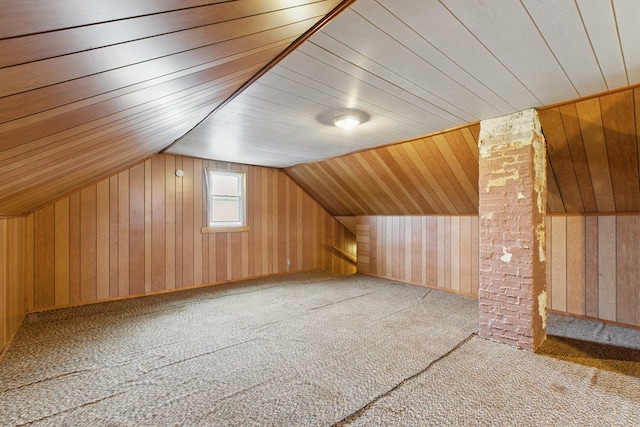 16.5 Monroe Ave, Shelby, OH 44875 - additional living space with wooden walls, carpet floors, and vaulted ceiling